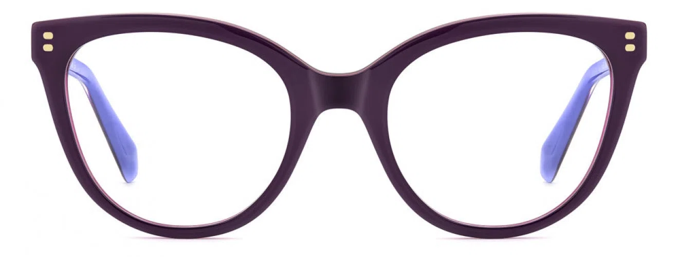 Polaroid Core PLDD585 Eyeglasses - view 2